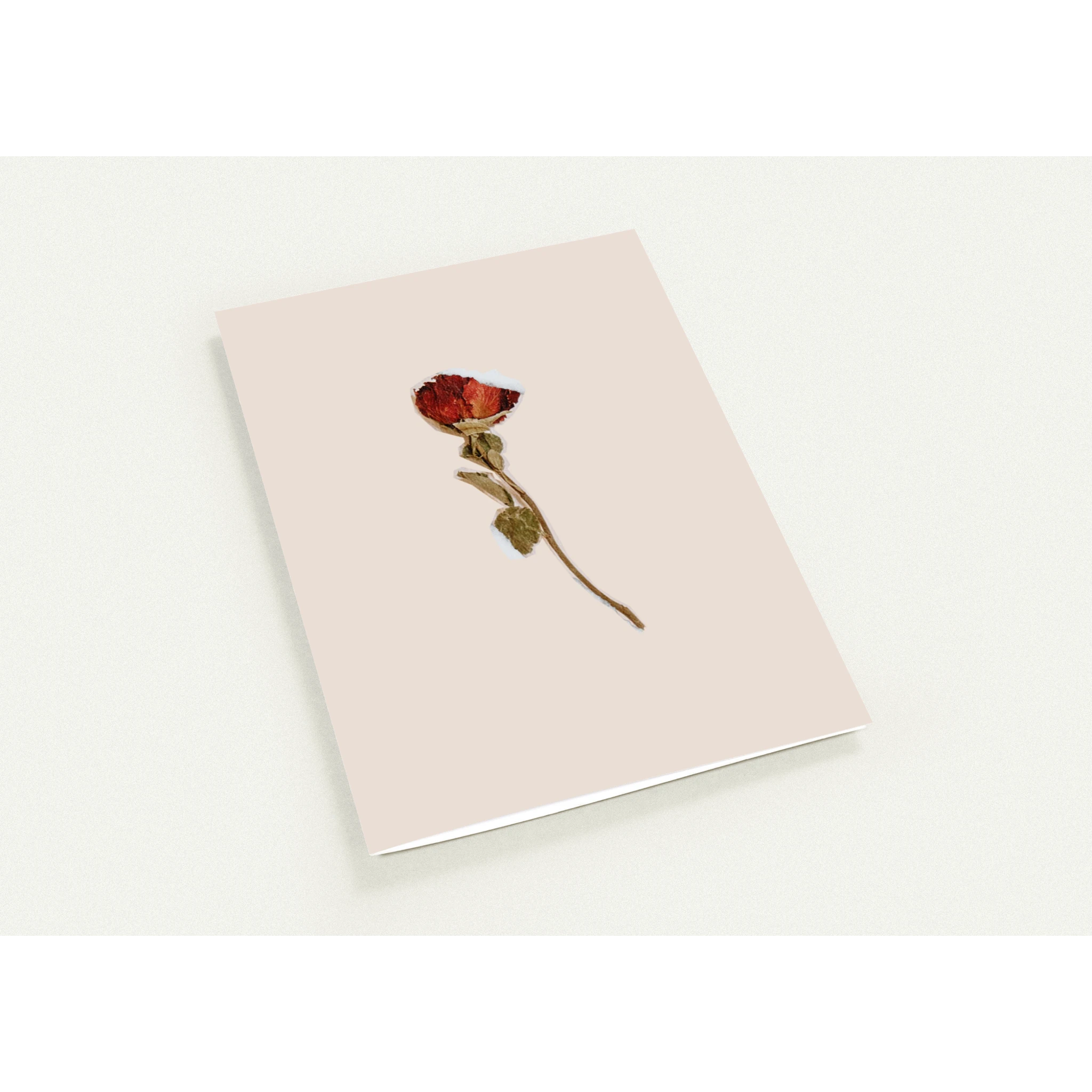 9f8724de-2d4b-4b70-a375-7a06dbb50f15