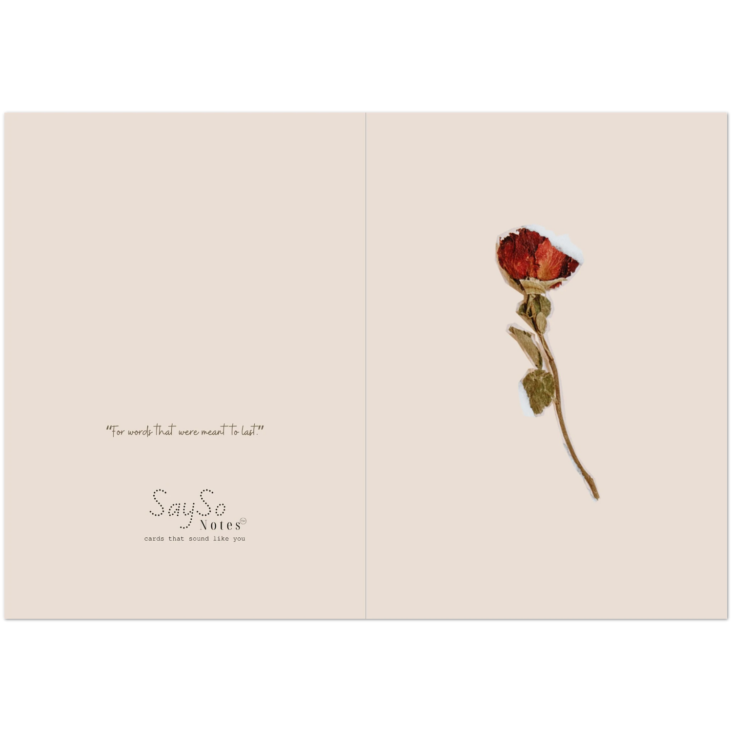 5bc7f4ae-a9f5-436a-81f5-20154a7f4dc3