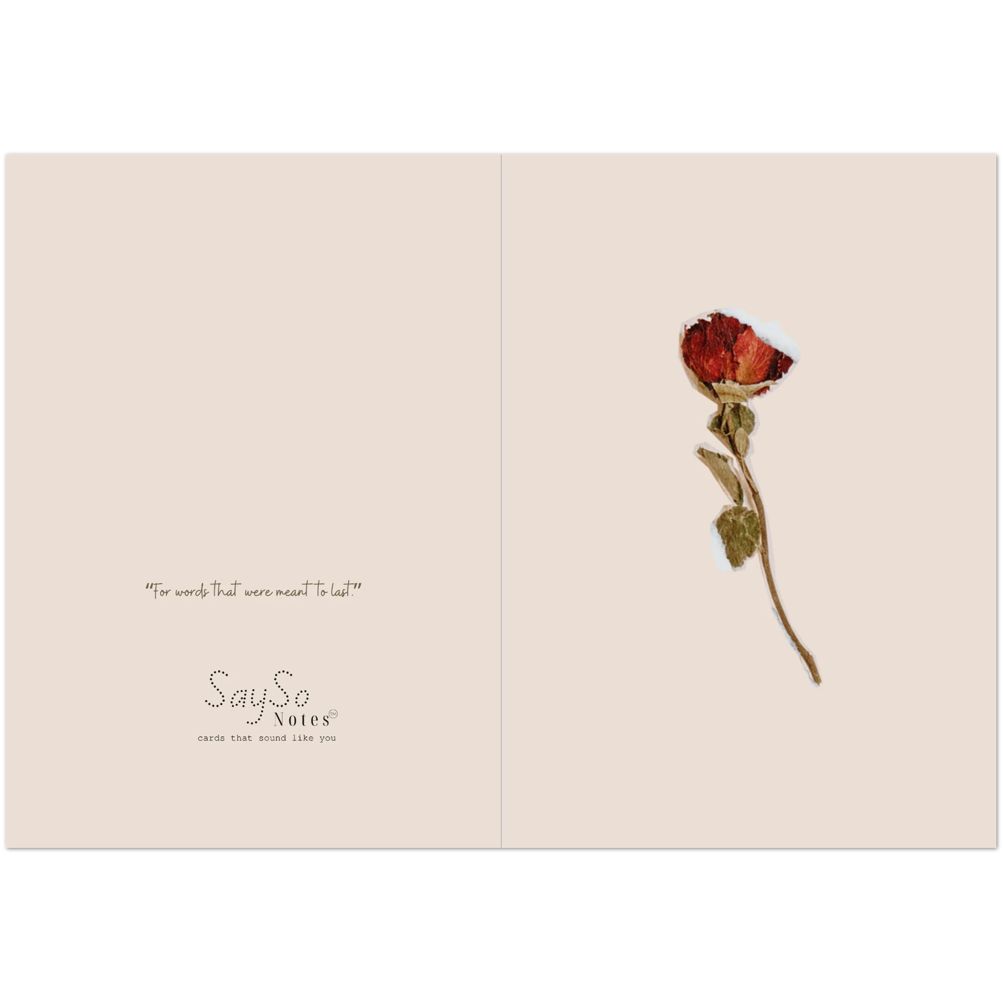 5bc7f4ae-a9f5-436a-81f5-20154a7f4dc3