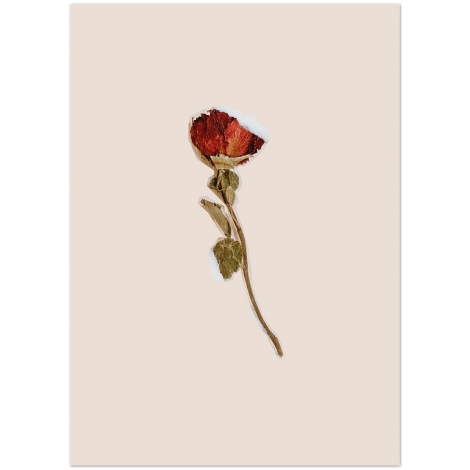 999d1121-a16d-46f6-955f-4e1cce5d661b