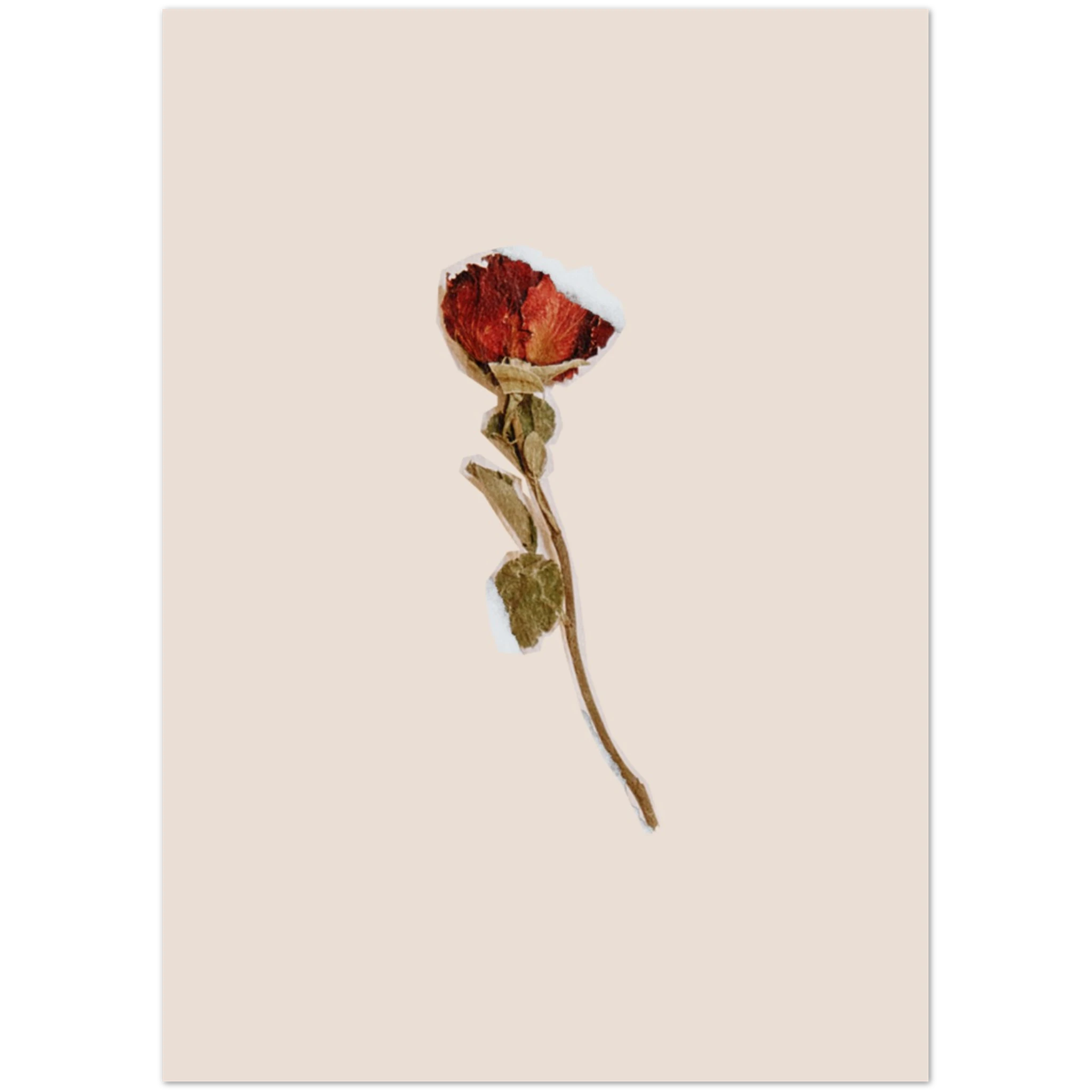 999d1121-a16d-46f6-955f-4e1cce5d661b