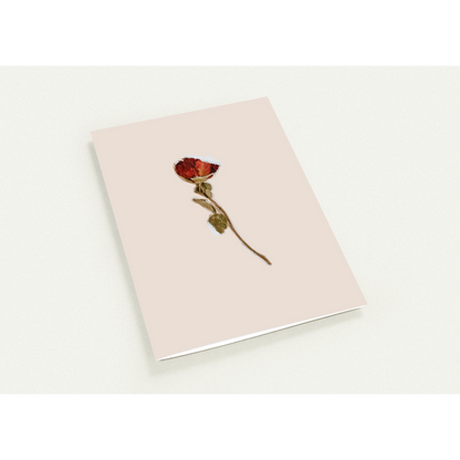 9f8724de-2d4b-4b70-a375-7a06dbb50f15