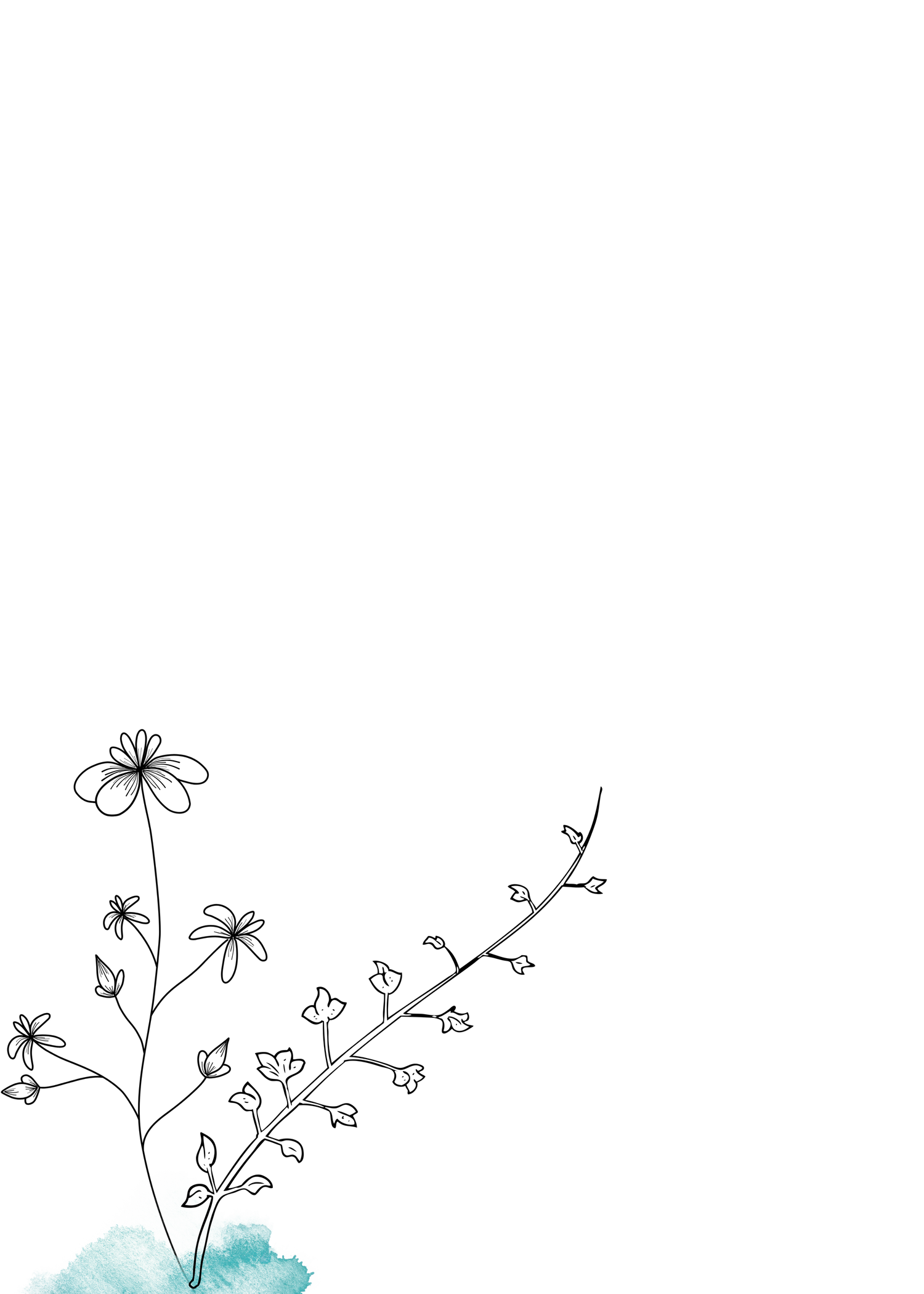 d0f8e346-5b7c-4c6e-b05a-98db0a66aace